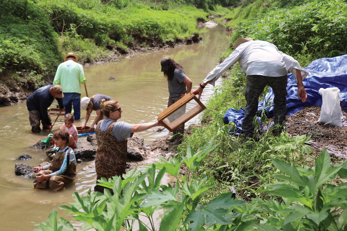 UL Lafayette faculty, students and volunteers help unearth fossils in the muddy water banks near Church Point, Louisiana.
